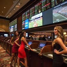 login badak178 platform interface showing live dealer tables and sportsbook coverage on mobile